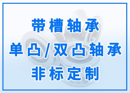 帶槽軸承丨單凸、雙凸軸承丨非標(biāo)定制